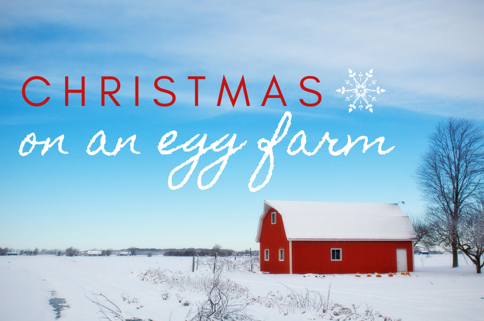 christmas_on_an_egg_farm