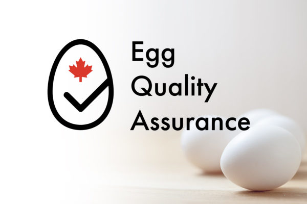 Canadian egg quality assurance logo with eggs